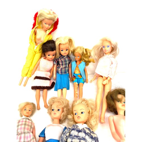 312 - 12 various vintage dolls, including Sindy, Tressy etc, in vanity case