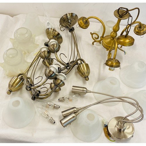 645 - Selection of assorted light fittings and shades