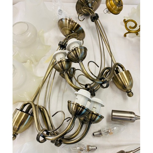 645 - Selection of assorted light fittings and shades