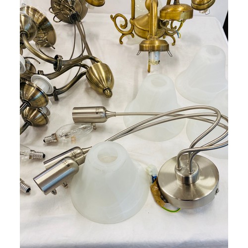 645 - Selection of assorted light fittings and shades