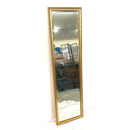 488 - Tall Gilt framed bevelled edge mirror, Height 49 inches, Width 14 inches