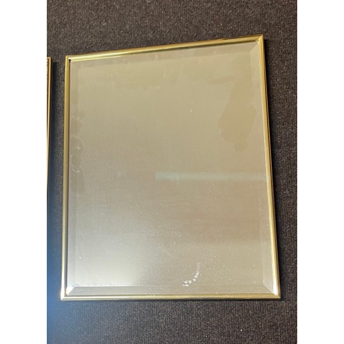 103 - 2 small mirrors, (1 gilt framed), approximate size of largest mirror is 25 inches by 13.5 inches