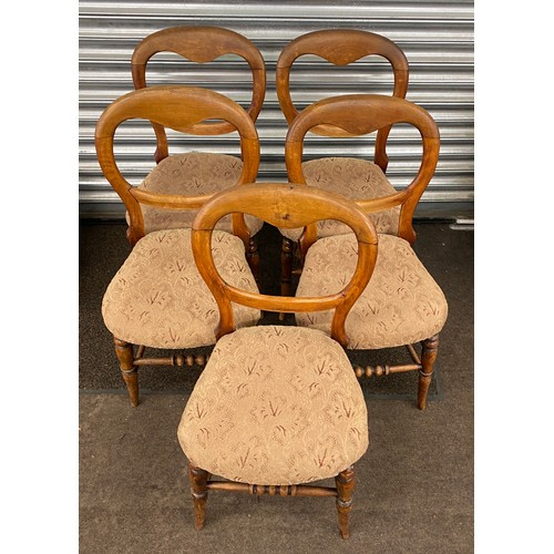 436 - Set 5 Antique bloom back Parlour chairs