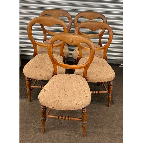 436 - Set 5 Antique bloom back Parlour chairs