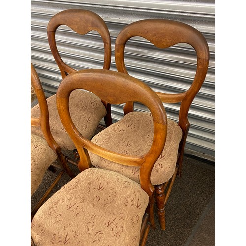 436 - Set 5 Antique bloom back Parlour chairs