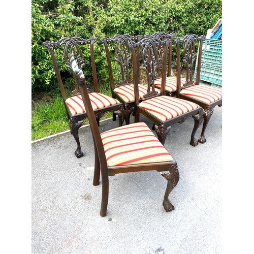 420 - Set 6 Chippendale style dining chairs, good overall condition