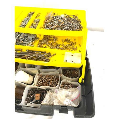 213 - Stanley Plastic tool box with large quantity of screws