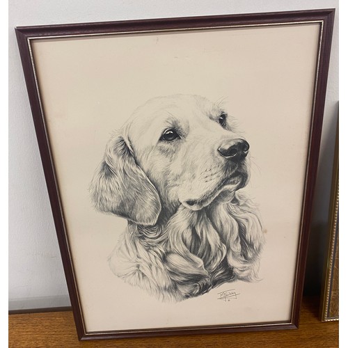 145 - Signed drawing of a golden retriever photograph, picture of a golden retriever standing and sitting ... 