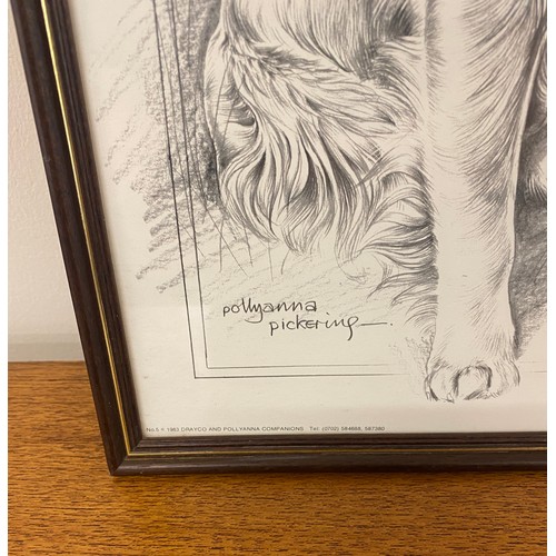 145 - Signed drawing of a golden retriever photograph, picture of a golden retriever standing and sitting ... 