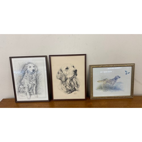 145 - Signed drawing of a golden retriever photograph, picture of a golden retriever standing and sitting ... 