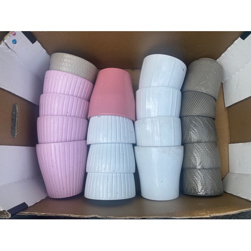 313 - Selection of various small garden plants largest measures approx 6cm diameter