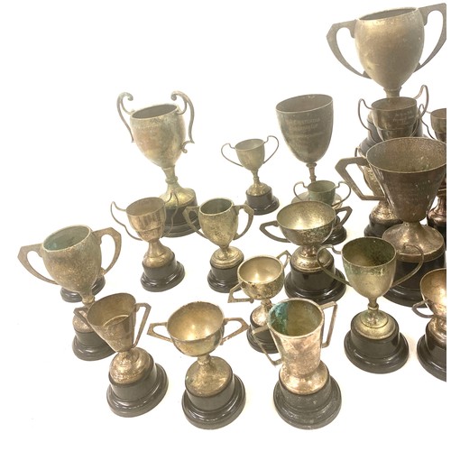 251 - Large selection of assorted trophies