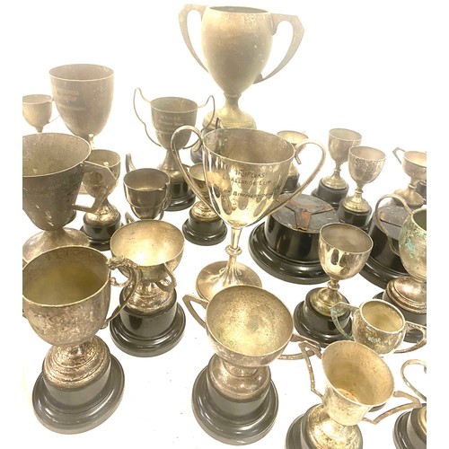 251 - Large selection of assorted trophies