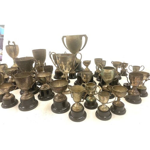 251 - Large selection of assorted trophies