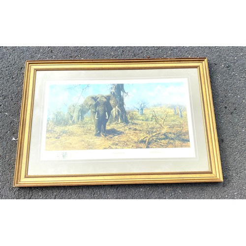 303 - David Shepherd Ltd edition signed print  157/1100 The land of the Baoba trees, approximate frame mea... 