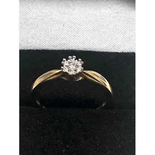 195 - 9ct Gold Diamond Cluster Ring (1.8g)