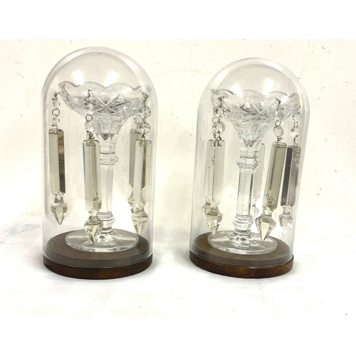 117 - A pair of victorian Lusters under glass domes complete with all the dragons teeth, approximate heigh... 