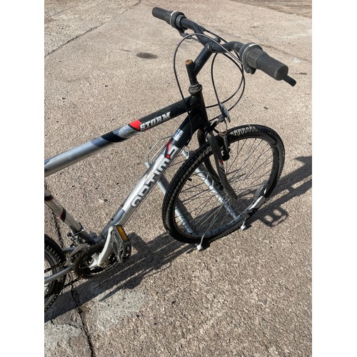 100D - Gents Storm optima Bike