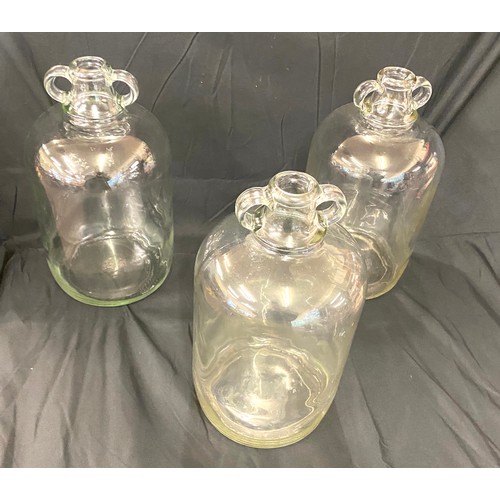 366 - Selection of 6 glass Demijohns