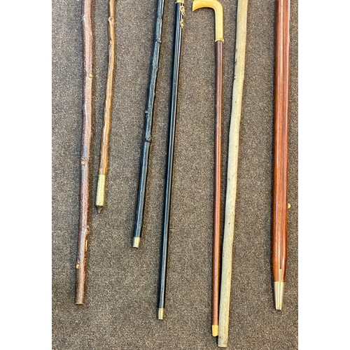 146 - Large selection of vintage and later walking stick