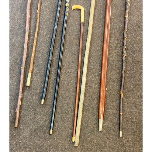 146 - Large selection of vintage and later walking stick