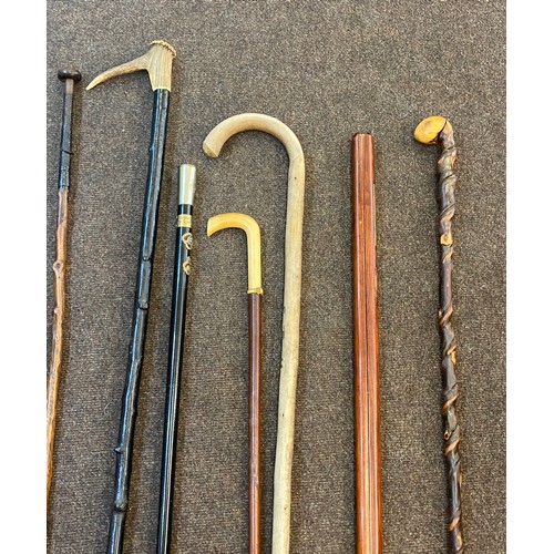 146 - Large selection of vintage and later walking stick