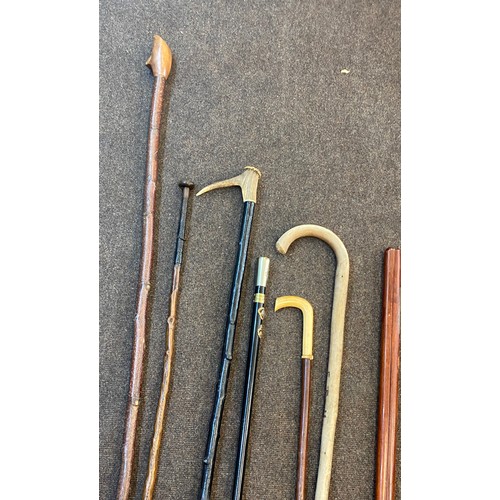 146 - Large selection of vintage and later walking stick