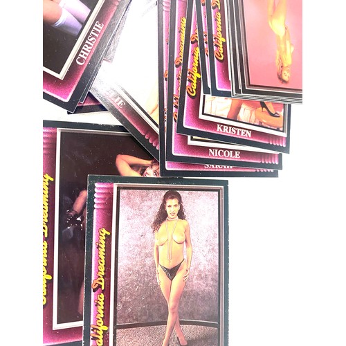 481 - Selection of Holo pleasure adult collector/ trading cards