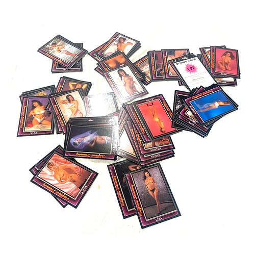 481 - Selection of Holo pleasure adult collector/ trading cards