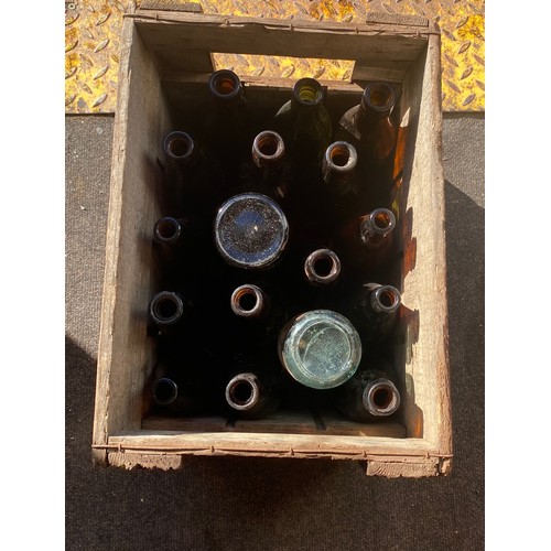 244 - Tiger beer crate and a selection of old beer bottles