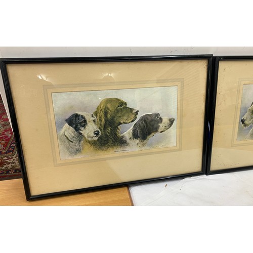 53 - Pair of framed prints each measures approx 19 winches wide 13 inches tall