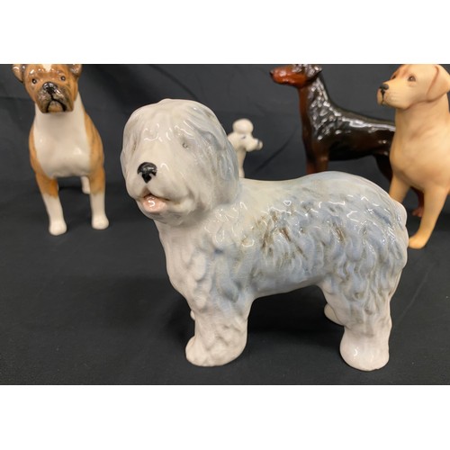 66 - Selection of 5 Beswick dogs includes Boxer, Poodle, Laborador, deluxe dog etc, all in over all good ... 