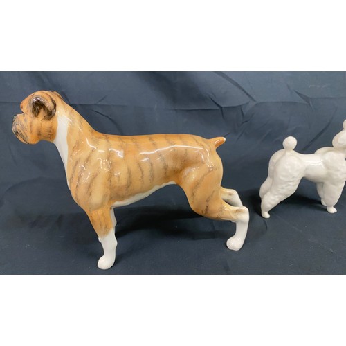 66 - Selection of 5 Beswick dogs includes Boxer, Poodle, Laborador, deluxe dog etc, all in over all good ... 