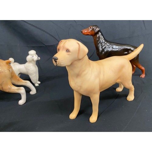 66 - Selection of 5 Beswick dogs includes Boxer, Poodle, Laborador, deluxe dog etc, all in over all good ... 