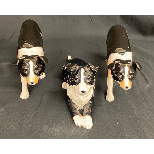 81 - Set of 3 Vintage Beswick boarder Collies, all in over all good condition