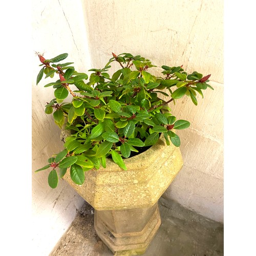 100T - Vintage concrete hexagonal chimney garden planter with plant, height approx 37 inches tall