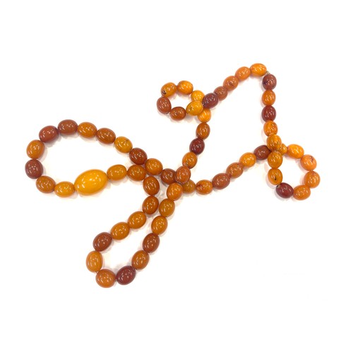 518 - Egg yolk amber bead necklace total weight 52.7g approx 30 inches long