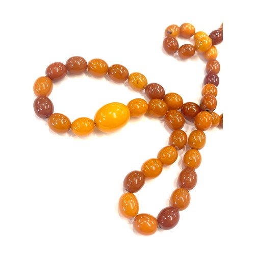 518 - Egg yolk amber bead necklace total weight 52.7g approx 30 inches long