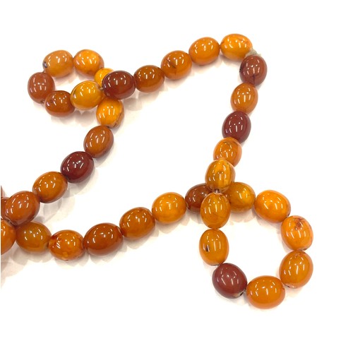 518 - Egg yolk amber bead necklace total weight 52.7g approx 30 inches long