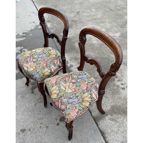 452 - Pair of mahogany hall chairs