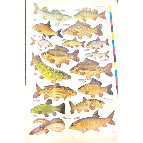 189 - The complete angler, fish identification guide posters, approximate measurement of each 37 x 25 inch... 