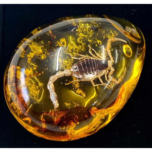 584 - Insect stone Scorpion inclusion in amber baltic