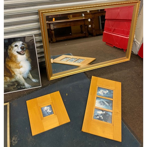 197 - Selection of framed pictures / prints of dogs, plants and a framed mirror largest measures approx 28... 