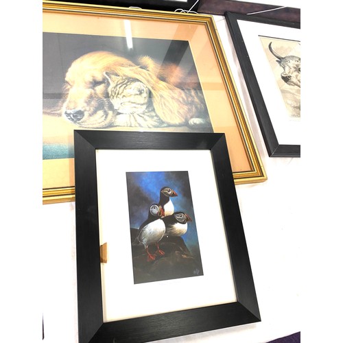 56 - Large selection of framed animal painting/ prints, some signed largest measures approx