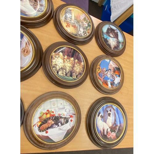 254 - Large selection of wooden framed collectors plates includes Edwin E Knowles, Cat Nap, Siamese twins ... 