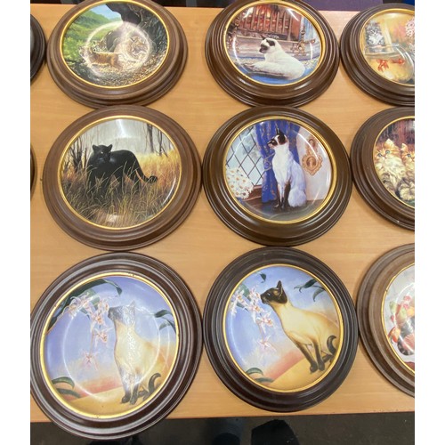 254 - Large selection of wooden framed collectors plates includes Edwin E Knowles, Cat Nap, Siamese twins ... 