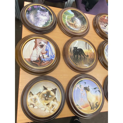 254 - Large selection of wooden framed collectors plates includes Edwin E Knowles, Cat Nap, Siamese twins ... 
