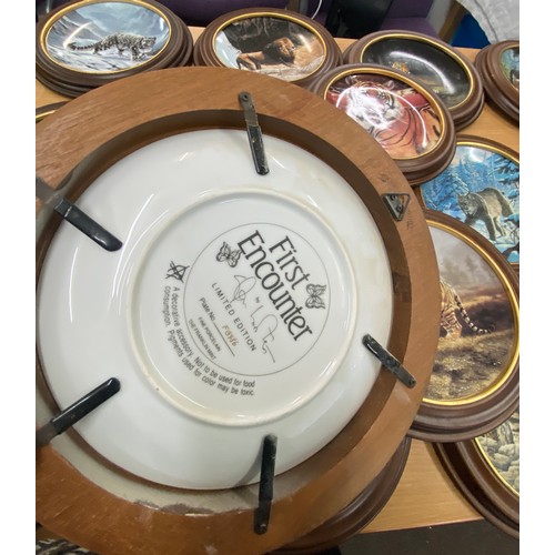 259 - Large selection of wooden framed collectors plates includes Edwin E Knowles, Jaguar in the hills etc