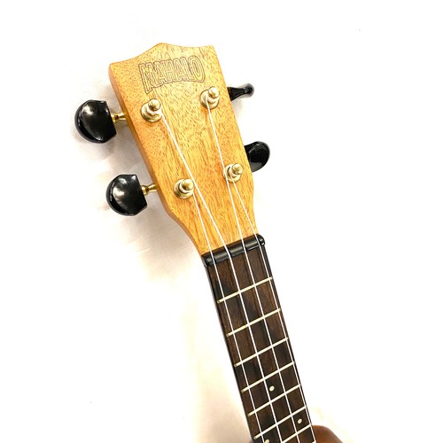 52 - Cased 4 string ukulele