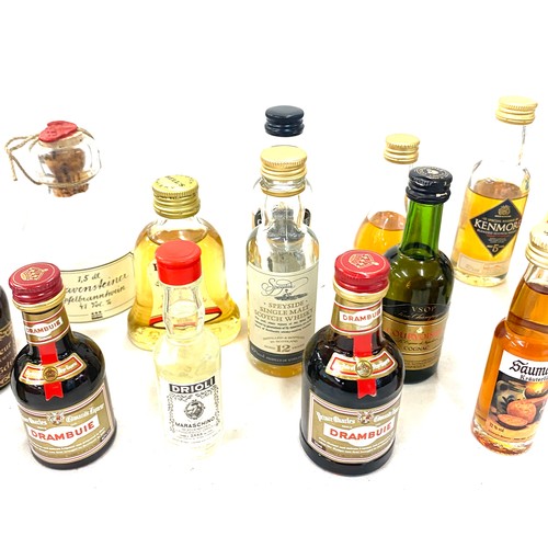 31 - Large selection of Alcohol miniatures includes Bells Whiskey etc